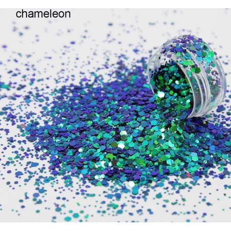 PAILLETTES CAMELEON 05